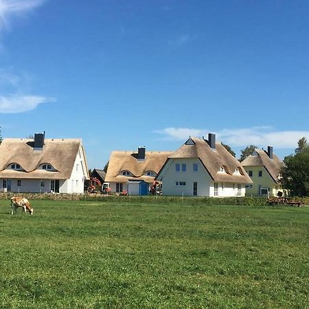 Reetdachhaeuser Boergerende Exteriér fotografie